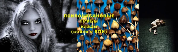 трава Верея